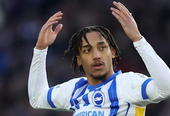 Chelsea lại liên hệ Brighton, ngắm mua tiền đạo 60 triệu euro